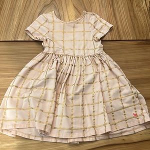 Pink Chicken 3T Dress